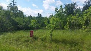 7041 Lobdell Rd, Linden, MI 48451-8778