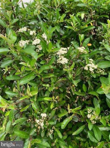 50 Steeplechase Cir, Chester PA 19014-1463 exterior