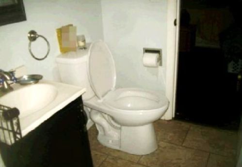 725 Porter St, Waukegan IL 60085-3858 exterior