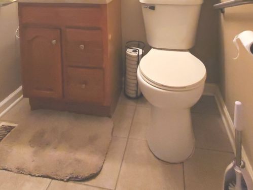 1218 Maywood Dr, Broadview IL 60153-1879 exterior