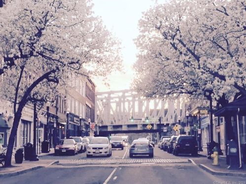 8 Rockmeadow Rd, Norwalk CT 06850-2849 exterior