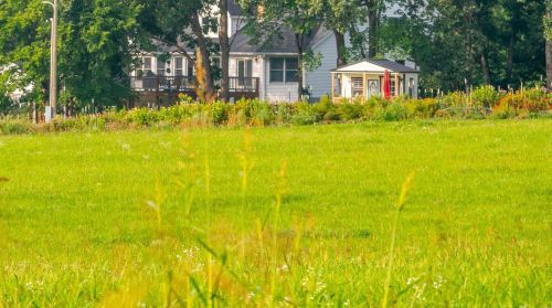 572 Spring Cave Rd, Spring Bluff MO exterior