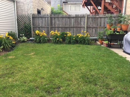 854 Paulina St, Chicago IL  60622-5027 exterior