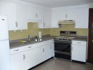 29 Dighton St, Boston MA  02135 exterior