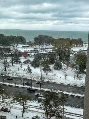 525 Hawthorne Pl, Chicago IL  60657-2907 exterior