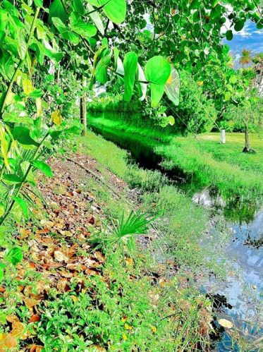 4300 Gulfstream Dr, Naples FL 34112-6879 exterior