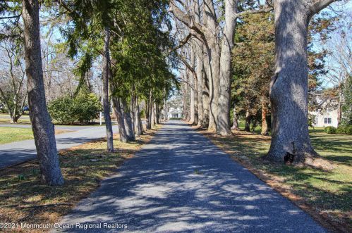 3 Tulip Tree Ln, Locust, NJ 07760-1807