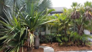 9258 Ketay Cir, Boca Raton FL  33428-1512 exterior