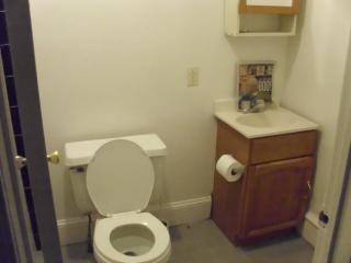 3839 Hamilton St, Philadelphia PA  19104-2315 exterior