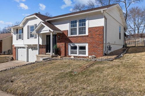 11541 Patty Ann Dr, Saint Louis MO 63146-5454 exterior