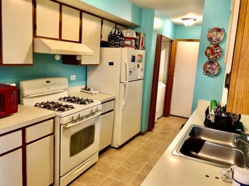 203 Butternut Ln, Streamwood IL 60107-2258 exterior