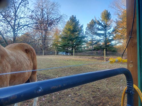 14735 190th Ave, Big Rapids MI  49307-9041 exterior