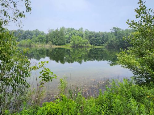 4370 192nd Ave, Hesperia MI 49421-9576 exterior