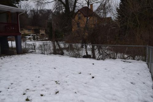 65 Fountain, Pittsburgh PA 15238-3418 exterior