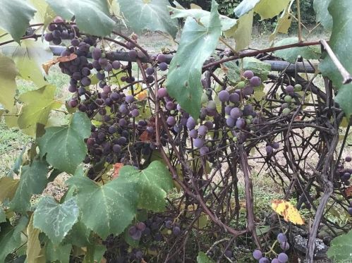 49 Brk St, Torrington CT 06790-5012 exterior