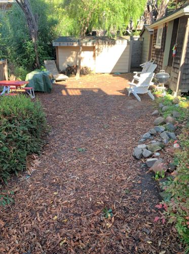 2037 Hearst Ave, Berkeley CA 94709-1319 exterior