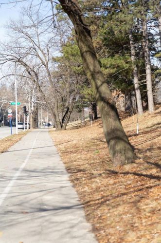 725 Skinker Blvd, Saint Louis MO 63130-4842 exterior