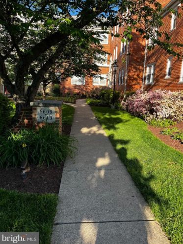 6613 10th St, Alexandria, VA 22307-6613