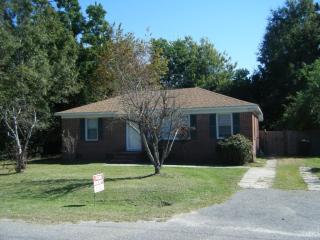 314 Mary Scott Dr, Charleston SC  29445-3505 exterior