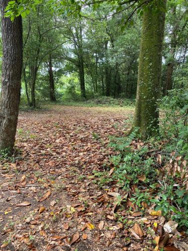 83 Live Oak Ave, Defuniak Springs FL  32435-2360 exterior