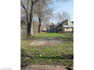 4219 Orchard Ave, Cleveland OH  44113-3826 exterior
