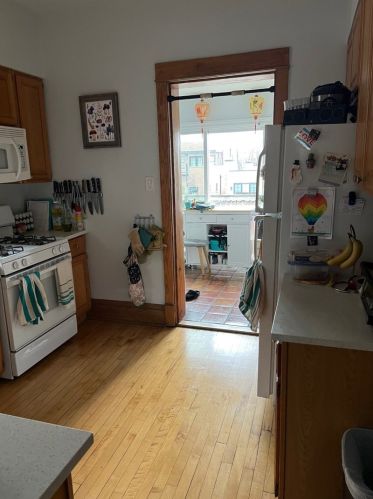 3746 Magnolia Ave, Chicago IL 60626-5305 exterior