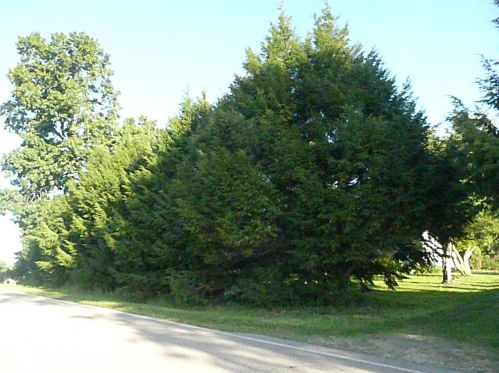 19521 Bulhand St, Cassopolis MI 49031-8544 exterior