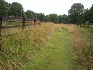 58 Dock Watch Hollow Rd, Warren, NJ 07059-6906