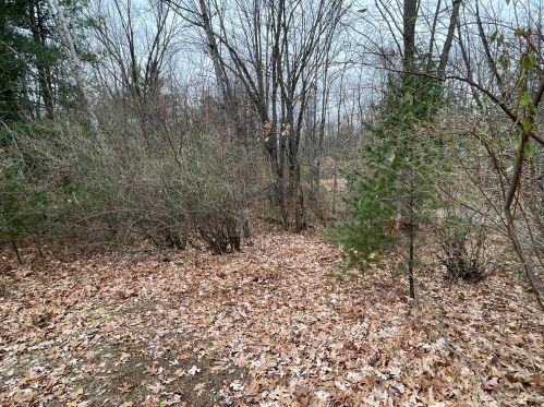 11495 215th Ave, Big Rapids MI  49307-9427 exterior