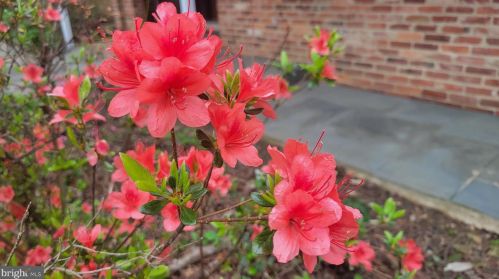 94 Eldrid Dr, Silver Spring MD 20904-2910 exterior