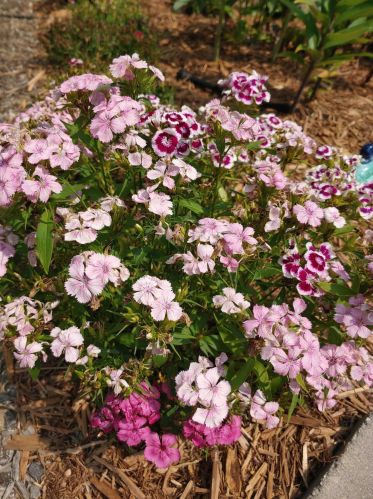 1547 Duck Lk Rd, Meskegon MI 49445-8329 exterior