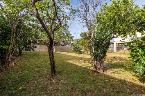 3223 Hinano St, Honolulu HI 96815-4362 exterior