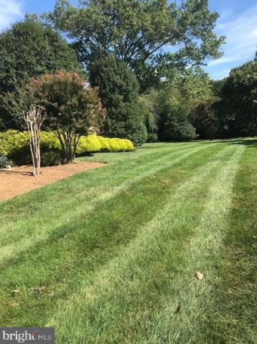 8348 Alvord St, Mc Lean, VA 22102-1726