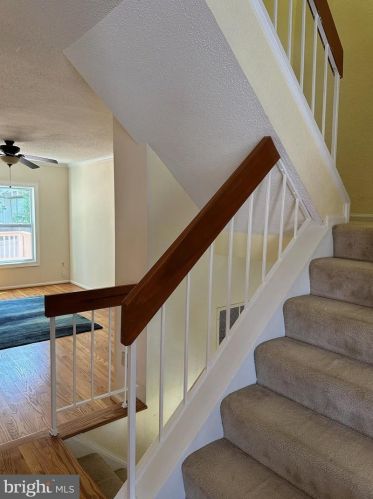 10904 Pebble Run Dr, Silver Spring MD 20902-3685 exterior