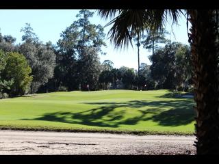 16 High Hope Way, Bluffton, SC 29910-8372