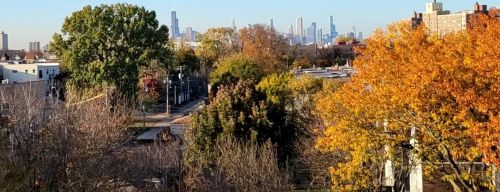 4210 Ellis Ave, Chicago IL  60653 exterior