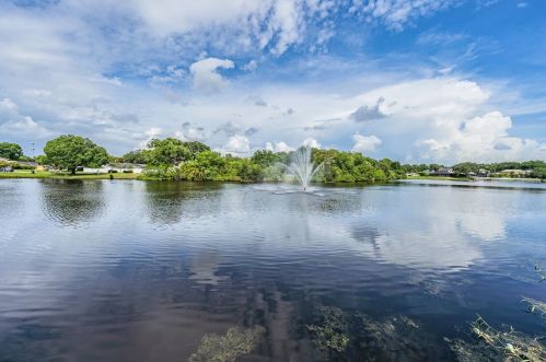 8201 Kirkwood Dr, Tampa FL  33634-2238 exterior