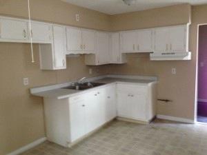 1175 Tibbs Ave, Indianapolis IN  46241-2732 exterior