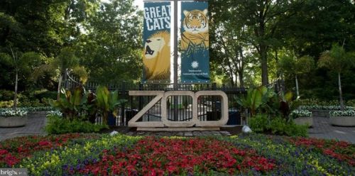 2815 Cathedral Ave, Washington DC 20008-4122 exterior