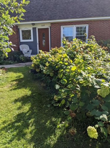 1609 Carver St, Madison, WI 53713-1105