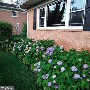 8408 Camden St, Alexandria, VA 22308-2110