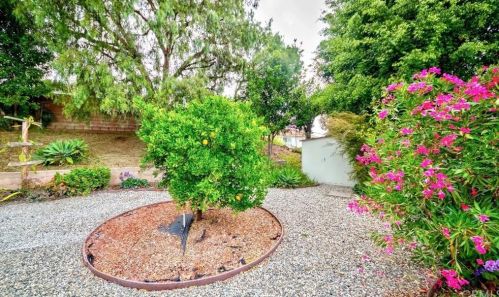 2017 Las Lanas Ln, Fullerton CA  92833-1706 exterior