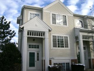 3421 Ravinia Cir, Aurora IL  60504-3145 exterior