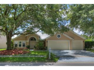 6219 Greenwich Dr, Tampa FL  33647-1141 exterior