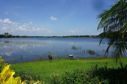 13695 Orange Sunset Dr, Tampa FL  33618-3333 exterior