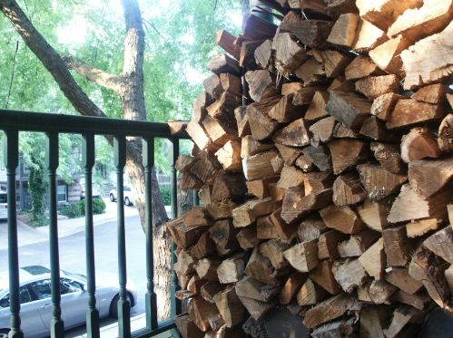 4721 Woodlawn, Chicago IL 60615-1920 exterior