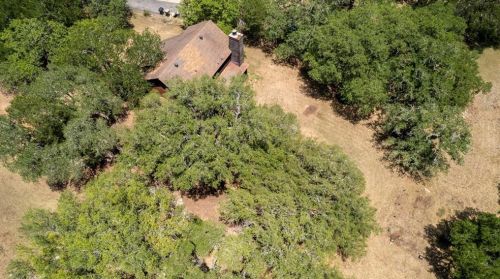 7917 Frst Vw Dr, Austin TX 78746-4521 exterior