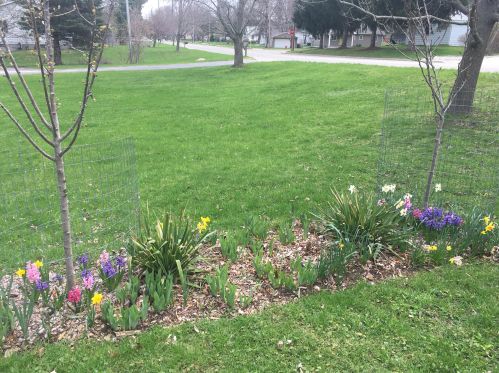 900 Woodward Ave, Big Rapids MI 49307-9201 exterior