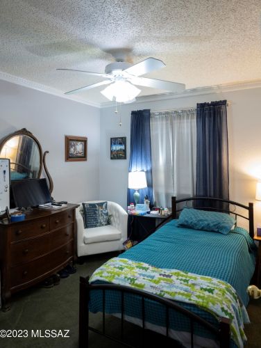 10246 Essex Village Dr, Tucson AZ 85748-6796 exterior