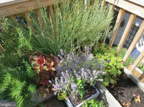 324 Camac St, Philadelphia PA 19140-4214 exterior